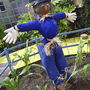 I had been wondering for some time about who stole my gardening boots!