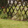 SPIREA "BRIDAL WREATH"