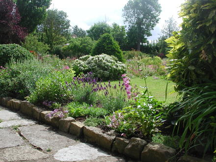 Part of our front garden 