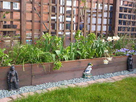 A garden flower photo