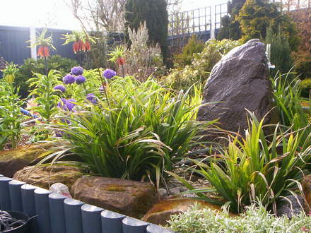 A garden flower photo