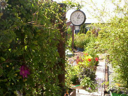 A garden flower photo