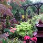 Lower_garden_may