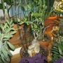 Caudex Plant - Fokea Edulis