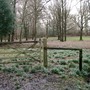 Fleeting Nature