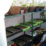 Greenhouse_011