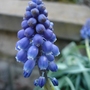 Dsc03303