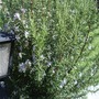 Dsc03299
