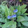 Dsc03315