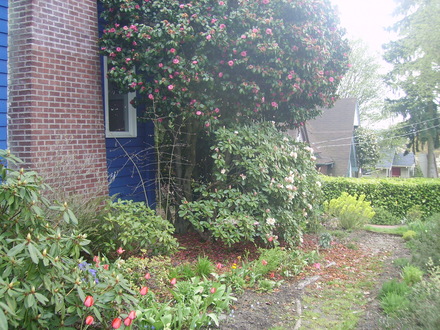 front garden