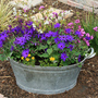 Old Wash tub