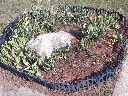 Rock garden