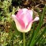 Pict0865
