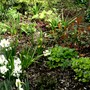 Bed with woodland look