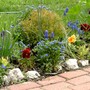 Colourful Spring bed.