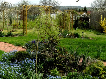 General view of top garden