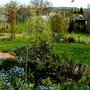 General view of top garden
