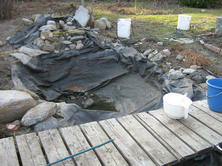 My pond...all pulled apart.