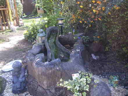 Water Feature