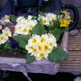 April_2008_002