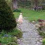Henry_on_guard_1