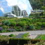 DSCN1278.jpg