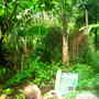 DSCN1288.jpg