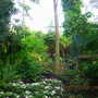 DSCN1289.jpg