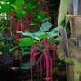 DSCN1294.jpg
