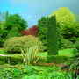 DSCN1011.jpg