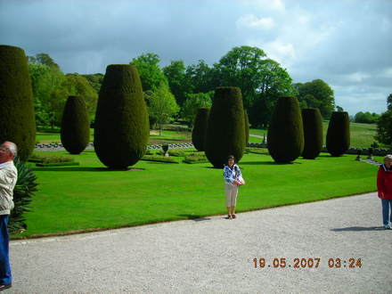 DSCN1001.jpg