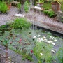 Milton Pond.jpg