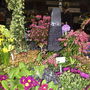 Dundee Spring Garden Show 19-20 April 2008