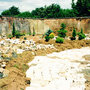 Beginning my conifer bed in 2000