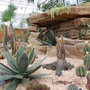 The Dry Temperate Zone
