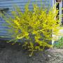 Pics_2