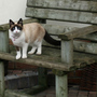 Tilly 6mths