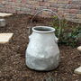 Milk bucket (before) (Bidens ferulifolia Solaire & Sutera Cabana)