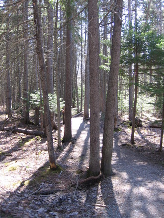 walking trail