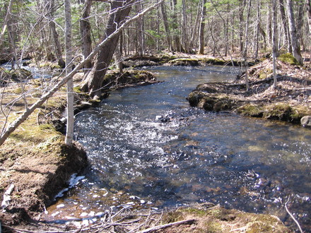 spring run off
