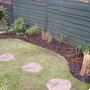GRASSES BORDER (FARGESIA)