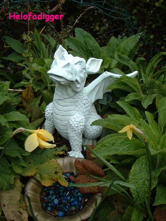 My garden dragon