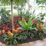 A colourful corner