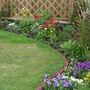 New_border_1