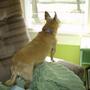 Keeping an eye on the front garden and the new plants