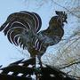 Rooster perched on top of the shadehouse