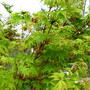 4-19-08_018