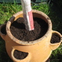 Potting up Strawberry pot