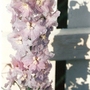 Scan0014