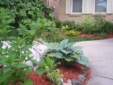 Front garden